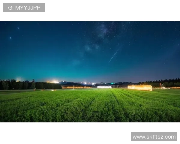 马内的足球之路:从非洲草原到欧洲绿茵场的传奇旅程 马内的足球之路:从非洲草原到欧洲绿茵场的传奇旅程