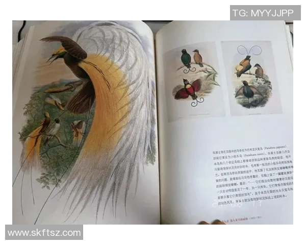 伊萨克的探索之旅:揭示科学与艺术交汇的奥秘与魅力 伊萨克的探索之旅:揭示科学与艺术交汇的奥秘与魅力