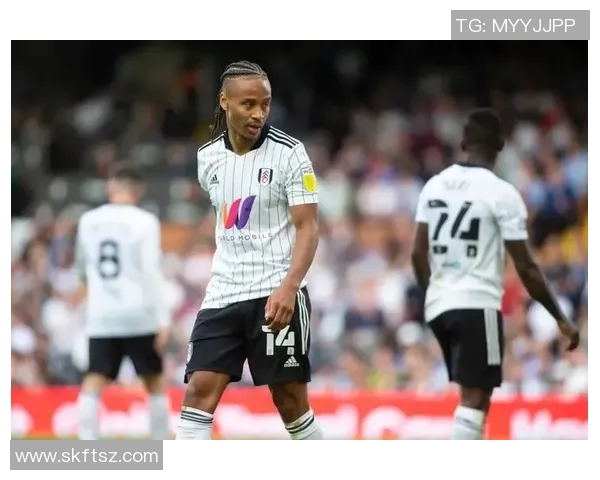 伯明翰与富勒姆精彩对决直播全程回顾与赛后分析