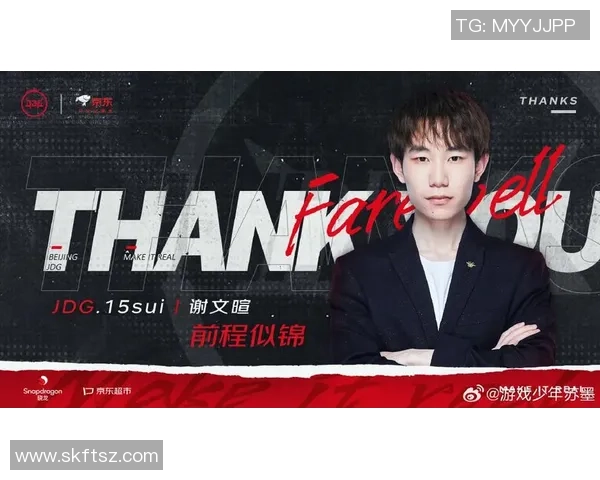 主播热议SN与JDG对决精彩瞬间分析与战术解读