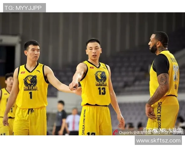 尼斯与卡昂历史交锋记录分析及战绩回顾