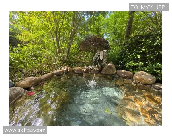 群马温泉与山形山的魅力对比探寻温泉与自然的完美结合